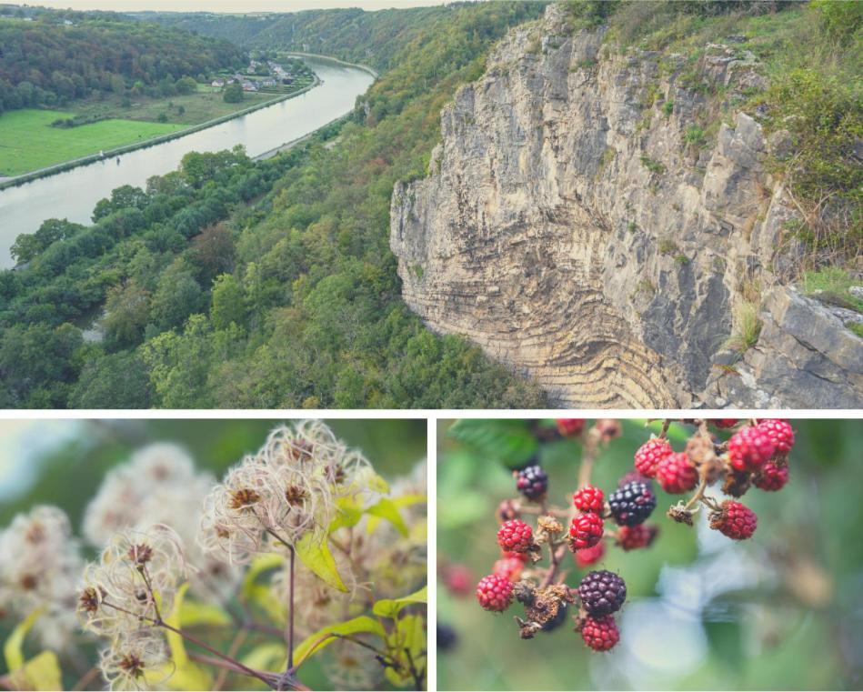 Laissez-Vous Enchanter Par La Vallee De La Meuse Hastiere-par-dela 외부 사진